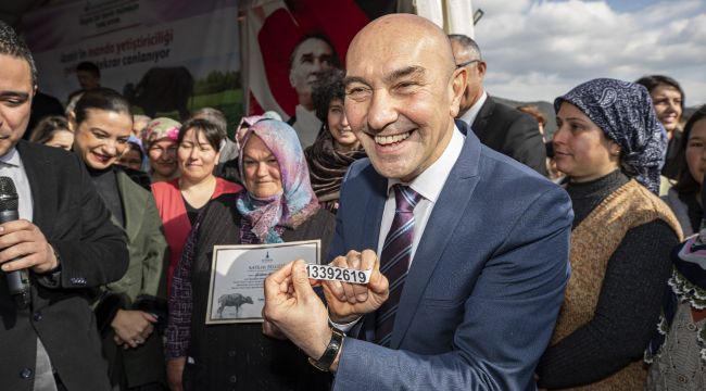 Büyükşehir'den manda yetiştiriciliğine destek 