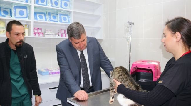  Çeşme'de sokak hayvanları için veteriner kliniği açılıyor!