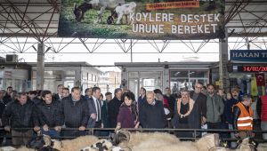 İzmir Büyükşehir Belediyesi'nin küçükbaş hayvan desteği devam ediyor
