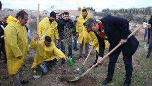 Karşıyaka yeşile bürünüyor!