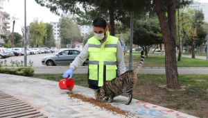 Bayraklı Belediyesi'nden can dostlara su ve mama