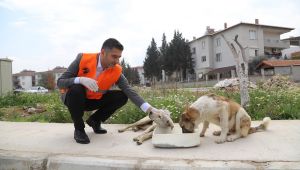 Menderes'te Can Dostlar Unutulmadı