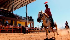 Ödemiş'te şehitlerimiz ve Çanakkale Zaferi anısına rahvan at yarışı 