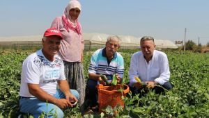 Beko: Tarıma destek verilmemesi dehşet tablosudur!