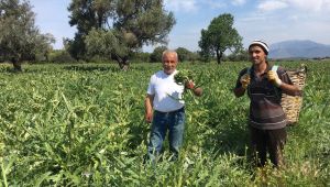 Büyükşehir Belediyesi salgında da üreticinin yanında 