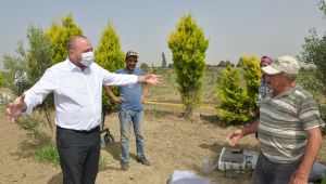 Başkan Utku Gümrükçü Çiftçiler Günü'nü Makamda Değil Tarlada Kutladı