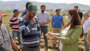 CHP İzmir Milletvekili Av. Sevda Erdan Kılıç, üreticinin dertlerini dinledi