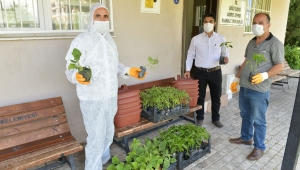 Çiğli Belediyesi'nden vatandaşa sebze fidesi