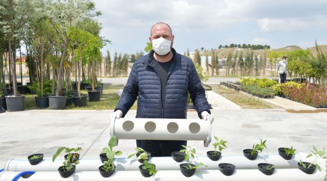 Çiğli'de balkonlarda topraksız tarıma destek