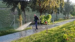 Çiğli parklarında çim ve bitkilere özel bakım 
