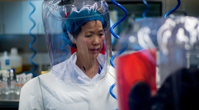 Çinli uzman: Dünya corona virüsten daha kötü salgınlarla yüzleşecek