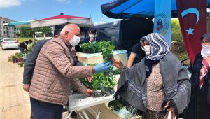 Kemalpaşa Belediyesi'nden vatandaşa 30 bin fide desteği