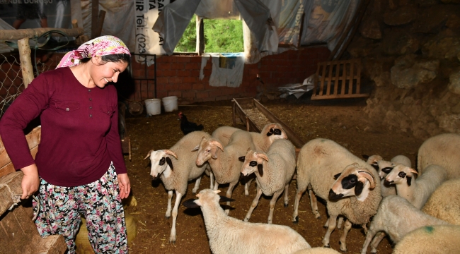 İzmir kırsalında "başka bir tarım" modeli gelişiyor