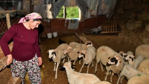 İzmir kırsalında "başka bir tarım" modeli gelişiyor