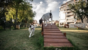 Kuşadası'nda Temalı Parklar Tek Tek Hayat Buluyor 