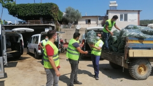 48 ton taze salatalık dağıtıldı