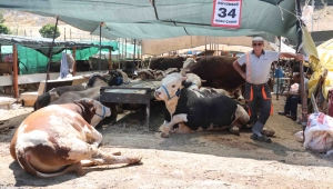 Bayraklı Belediyesi Kurban Bayramı'na hazır