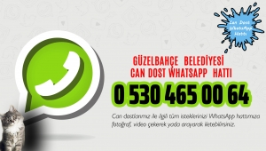 'Can Dost WhatsApp Hattı' Hizmette