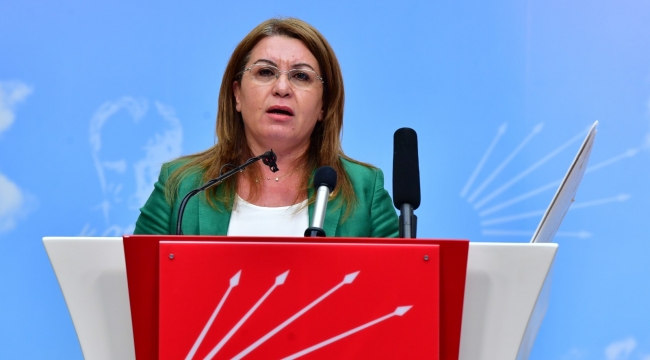 Gülizar Biçer Karaca'dan MHP Genel Başkan Yarımcısına Sert Tepki