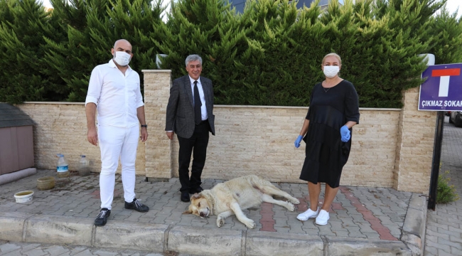 Hayvan Dostu Gündüz Çiftine Başkandan 'İnce' Ziyaret