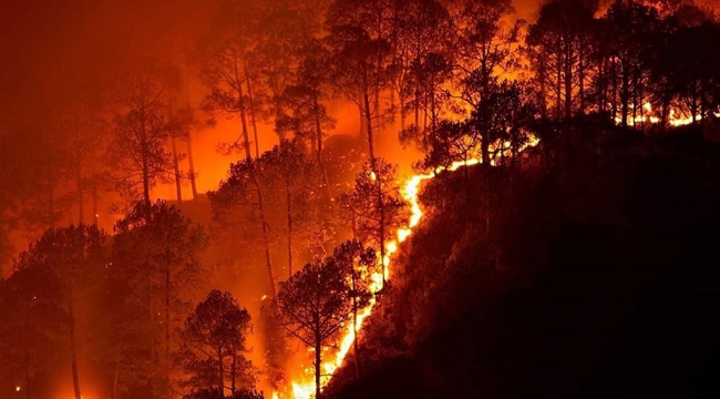 Boğaziçi Üniversitesi Çevre Bilimleri Enstitüsü'nden araştırma:Toprağın nemini ölçen teknoloji ile orman yangınları önlenecek