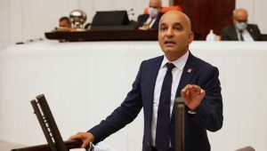 CHP'li Polat: Ağaç diken elleri öpüyorum