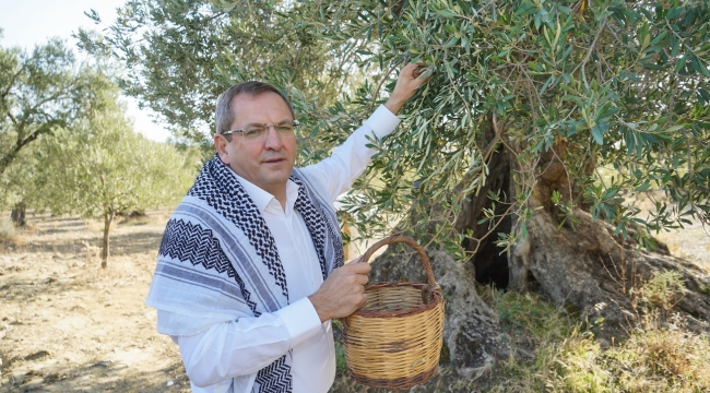 Dünya Zeytin Ağacı Günü Kutlu Olsun