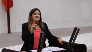 CHP İzmir Milletvekili Av. Sevda Erdan Kılıç: "Engelli yerine aracını park edenlerin ödedikleri cezaengelliler için harcansın"