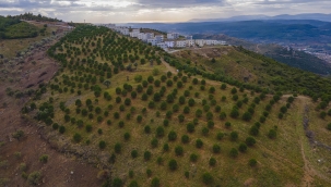 Güzelbahçe Belediyesi'nden Ağaç Dikim Seferberliği