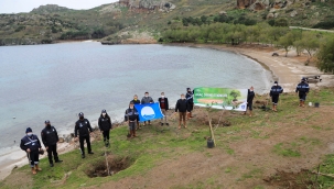 Bodrum'da Sahillerde Ağaçlandırma Çalışması Yapılıyor