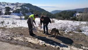 Kemalpaşa Belediyesi Can Dostları Unutmuyor