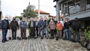 Buca Belediyesi'nden üreticiye 13 çeşit meyve fidanı 