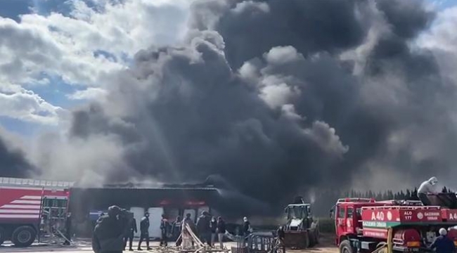 İzmir'de fidan deposunda yangın: Gökyüzü dumanla kaplandı
