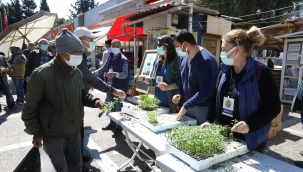 Buca'da balkon tarımı için 100 bin fide 