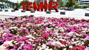 İzmir çiçek açtı