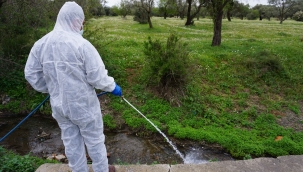 Kemalpaşa Belediyesi Haşere ve Larva ile mücadelesini hızlandırdı