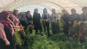 AK Parti İzmir İl Kadın Kolları Başkanlığı'ndan kadın girişimcilere kooperatifçilik eğitimi 