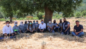 Bodrum Belediyesi'nin Tarımsal Kalkınma Hamlesi Adım Adım Hayata Geçiriliyor