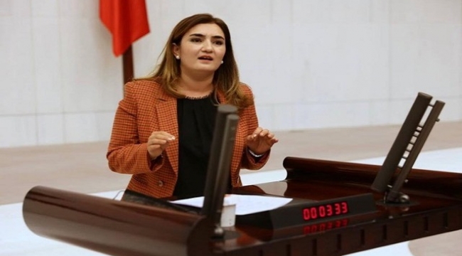 CHP İzmir Milletvekili Av. Sevda Erdan Kılıç: "İzmir'in ciğerleri yanınca değil, yanmadan önce önlem alınsın"