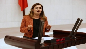 CHP İzmir Milletvekili Av. Sevda Erdan Kılıç: "İzmir'in ciğerleri yanınca değil, yanmadan önce önlem alınsın"