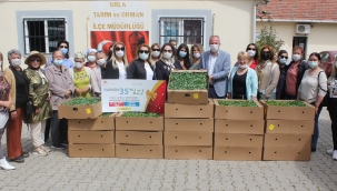 EGİKAD'dan Urla'ya 26 bin fide bağışı
