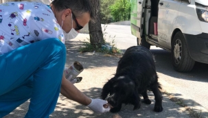 Konak Belediyesi kapanma sürecinde 'Can Dostların' yanında