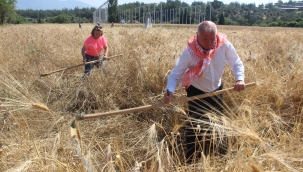 Atalık Karakılçık Kemalpaşa'da Can Buldu