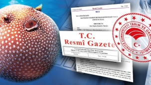 Balon Balığı Avcılığına 15 Milyon Lira Destek Sağlanacak