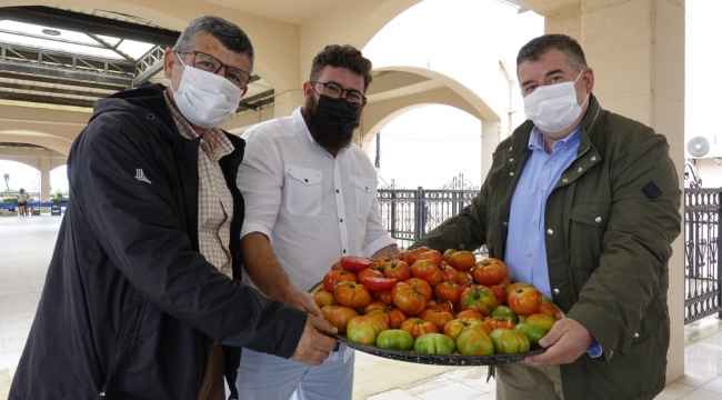 Çeşme'de Tarla'dan Sofra'ya Üretici Pazarı 