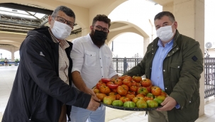 Çeşme'de Tarla'dan Sofra'ya Üretici Pazarı 