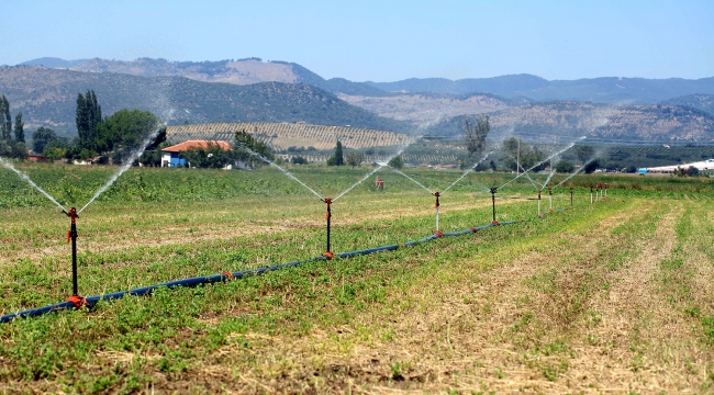 Manisa'da Sulama Sezonu 1 Haziranda başladı