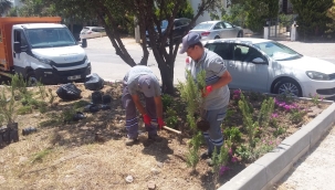 Bodrum Belediyesi'nden Suda Yüzde 80 Tasarruf