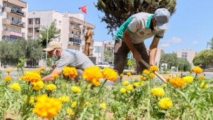 Buca'nın parklarına 3 ayda 60 bin çiçek 600 ağaç