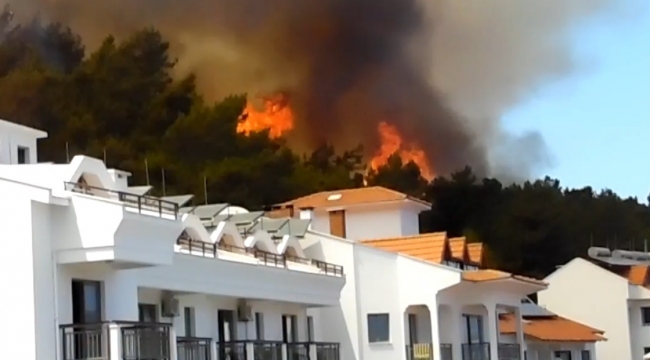 Marmaris Merkez'de Orman Yangını!